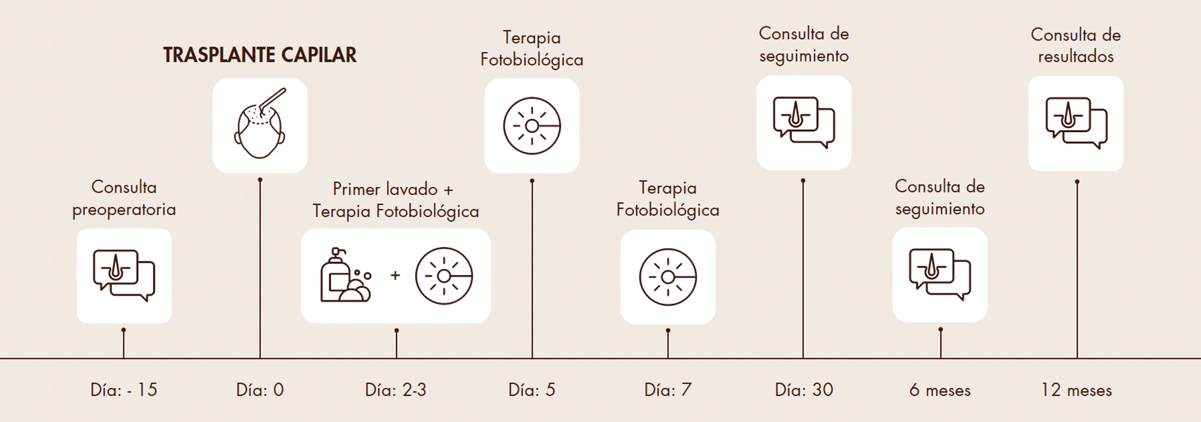 linea-temporal-trasplante